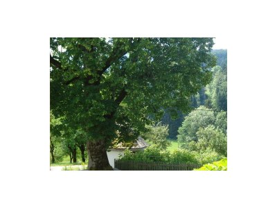 Apartment Haus Stöllinger - Outdoor photo 4