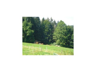 Apartment Haus Stöllinger - Outdoor photo 29