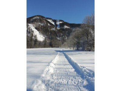 Apartment Ferienwohnung mit 2 Schlafzimmern - Outdoor photo 6