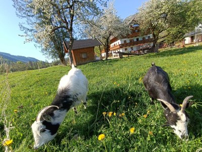 Apartment Ferienwohnung mit 2 Schlafzimmern - Outdoor photo 15