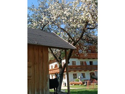 Apartment Ferienwohnung mit 2 Schlafzimmern - Outdoor photo 20