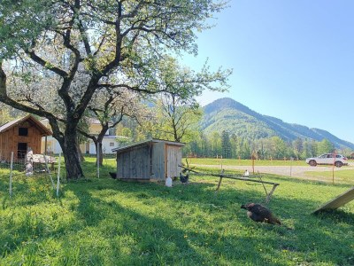 Apartment Ferienwohnung mit 2 Schlafzimmern - Outdoor photo 21