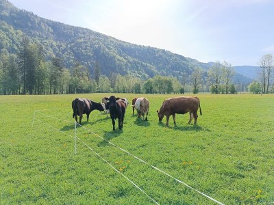Apartment Ferienwohnung mit 2 Schlafzimmern - Outdoor photo 23
