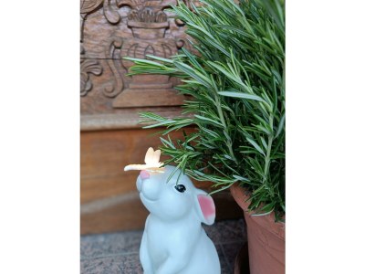 Apartment Ferienwohnung mit 2 Schlafzimmern - Outdoor photo 24