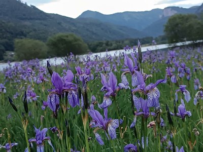 Apartment Ferienwohnung mit 2 Schlafzimmern - Outdoor photo 25