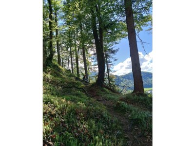 Apartment Ferienwohnung mit 2 Schlafzimmern - Outdoor photo 27