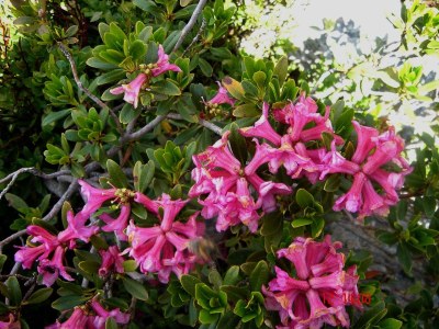 Holiday apartment "Loipengaudi" im Landheim - Environment photo 29