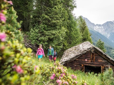 Holiday apartment "Loipengaudi" im Landheim - Environment photo 33