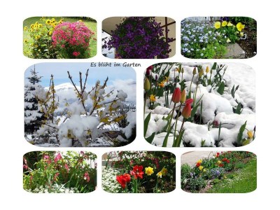 Apartment Apartment"Bergblick"/1 Schlafraum/Dusche, WC Nr. 2 - Outdoor photo 7