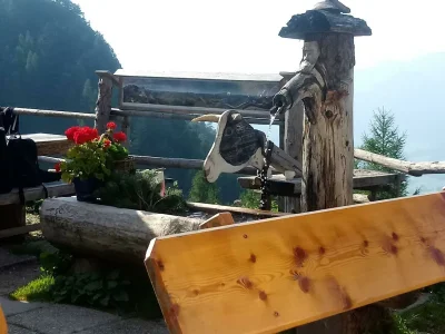 Apartment Apartment"Bergblick"/1 Schlafraum/Dusche, WC Nr. 2 - Outdoor photo 26