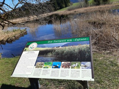 Apartment Apartment"Bergblick"/1 Schlafraum/Dusche, WC Nr. 2 - Outdoor photo 28