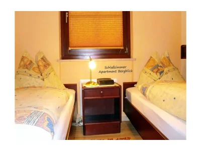 Apartment Apartment"Bergblick"/1 Schlafraum/Dusche, WC Nr. 2 - Features photo 32