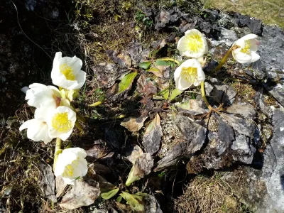 Apartment Apartment"Bergblick"/1 Schlafraum/Dusche, WC Nr. 2 - Features photo 38