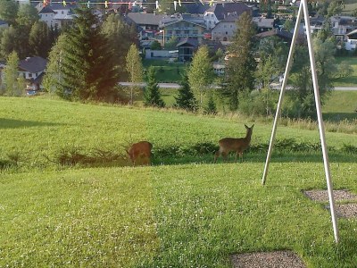 Apartment Apartment"Bergblick"/1 Schlafraum/Dusche, WC Nr. 2 - Features photo 42