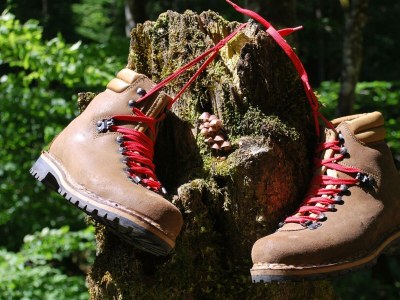 Apartment Tanne - Outdoor photo 10