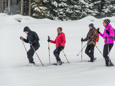 Apartment Tanne - Outdoor photo 25