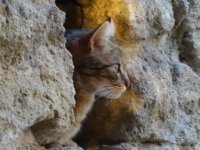 Gwenola und Bert Porwoll