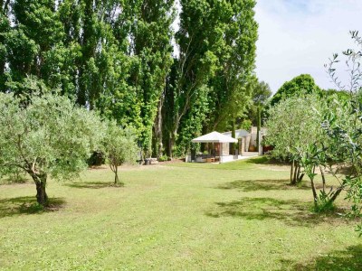 Holiday house Provence Les Oliviers Pool - Outdoor photo 30