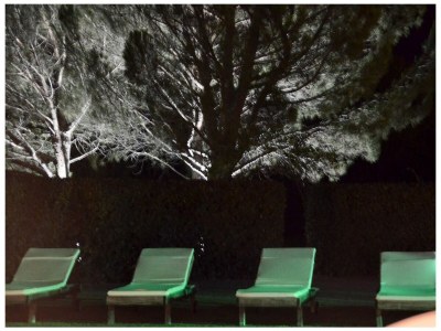 Holiday house Provence Les Oliviers Pool - Outdoor photo 33