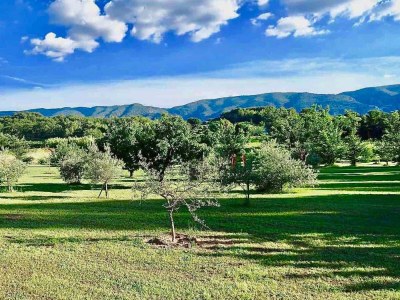 Holiday house Provence Les Oliviers Pool - Outdoor photo 37