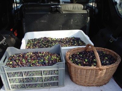 Holiday house Provence Les Oliviers Pool - Outdoor photo 38