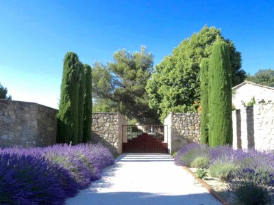 Holiday house Provence Les Oliviers Pool - Outdoor photo 40