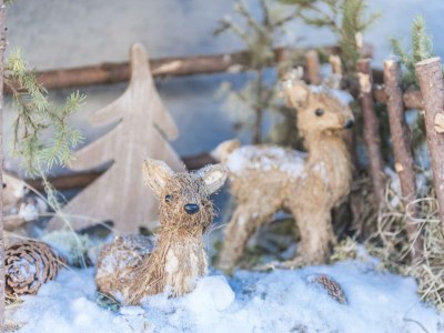 Apartment Appartement Erdges, Dusche, WC, 2 Schlafräume - Outdoor photo 18