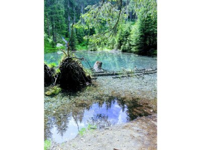 Apartment Apartment Nr. 4 "Lackwald" - Outdoor photo 9