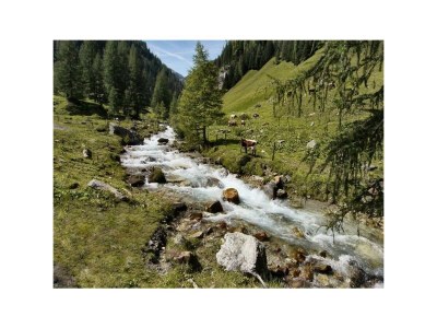 Holiday room Dreibettzimmer, Dusche, WC, Balkon - Outdoor photo 11