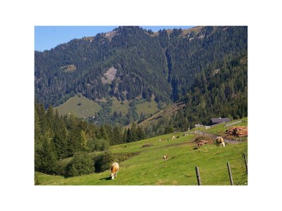 Holiday room Dreibettzimmer, Dusche, WC, Balkon - Outdoor photo 12