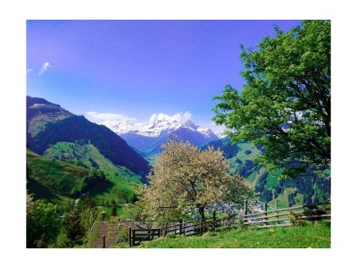 Holiday room Dreibettzimmer, Dusche, WC, Balkon - Outdoor photo 13