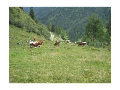 Apartment Apartment Tauernblick - Outdoor photo 9