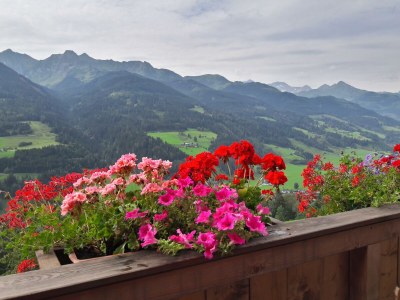 Apartment Apartment Tauernblick - Outdoor photo 34