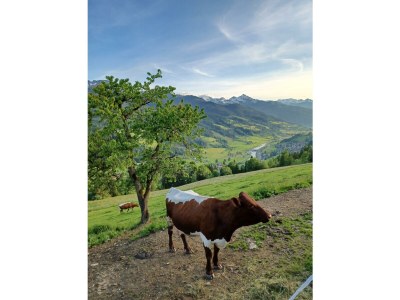 Apartment Apartment Tauernblick - Outdoor photo 40