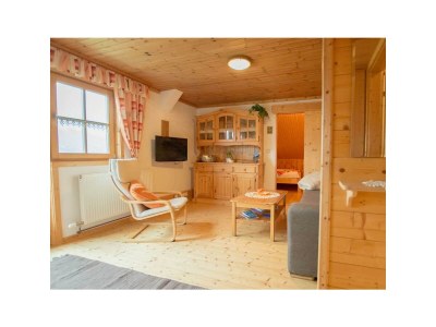 Apartment Apartment Tauernblick - Features photo 43