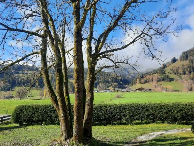 Apartment Ferienhaus, Dusche und Bad, WC, 2 Schlafräume - Outdoor photo 10