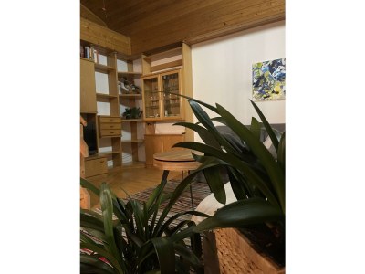 Apartment Ferienhaus, Dusche und Bad, WC, 2 Schlafräume - Features photo 29