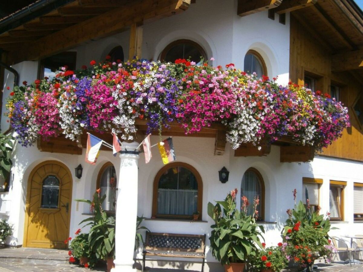 Apartment Apartment/2 Schlafräume/Dusche, WC