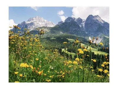 Apartment Apartment/2 Schlafräume/Dusche, WC - Outdoor photo 12