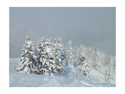 Apartment Studio Biberg - Outdoor photo 34