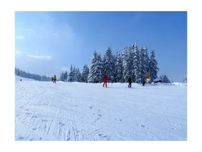 Apartment Studio Biberg - Outdoor photo 36