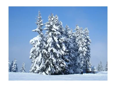 Apartment Studio Biberg - Outdoor photo 59