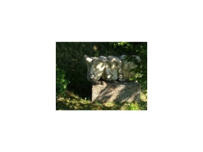 Apartment Appartement/Fewo, Dusche oder Bad, WC, 2 Schlafräu - Outdoor photo 5