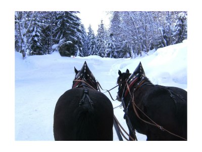 Apartment Enzian - Outdoor photo 16