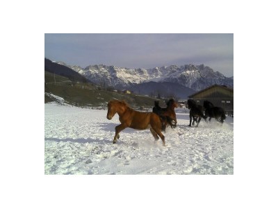 Apartment Enzian - Outdoor photo 24