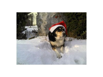 Apartment Enzian - Outdoor photo 25