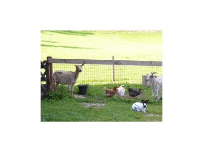 Apartment Enzian - Outdoor photo 26