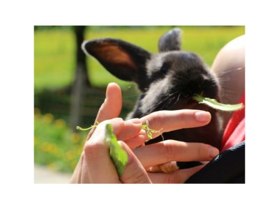 Apartment Enzian - Outdoor photo 36