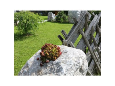 Apartment Enzian - Outdoor photo 37