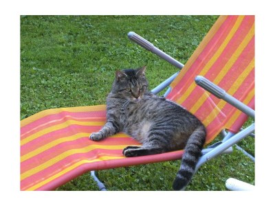 Apartment Enzian - Outdoor photo 38